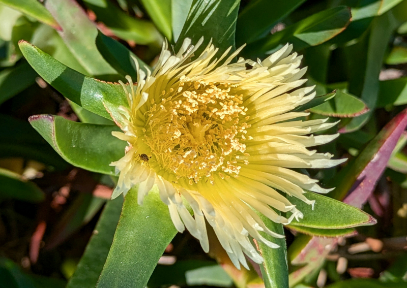 241112_algarve-fischerweg_102153