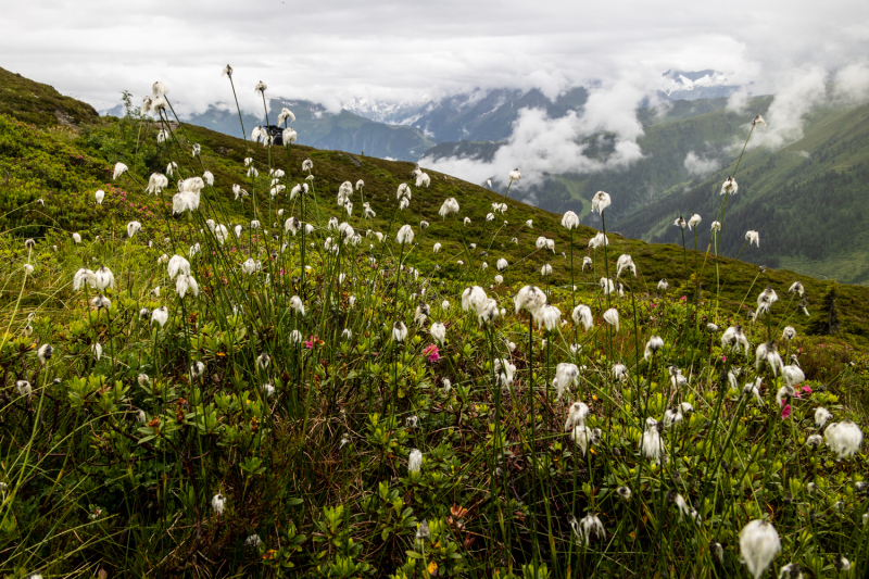 Alpenüberquerung