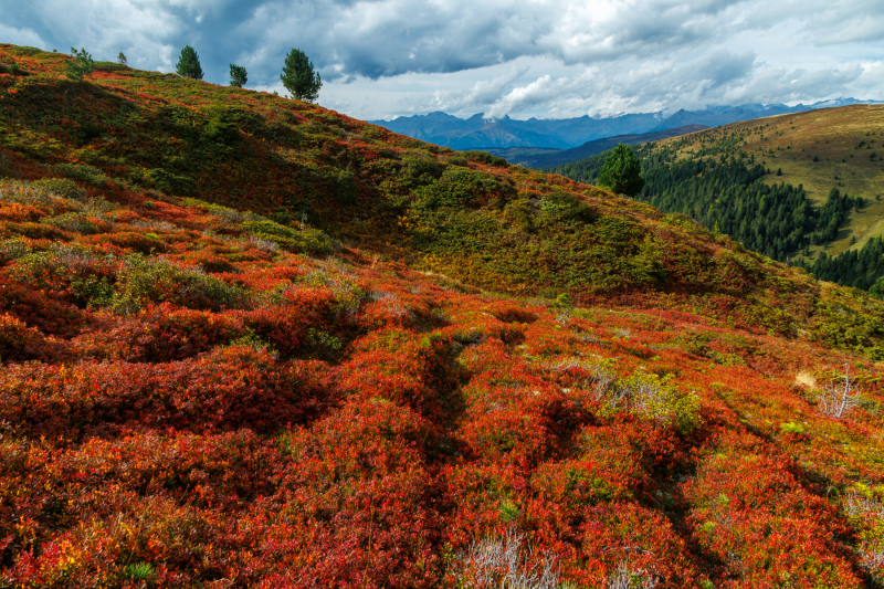 250916_dolorama_160126