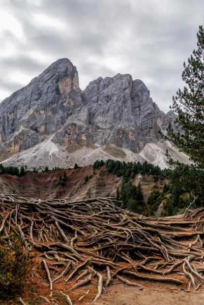 250917_dolorama_111018