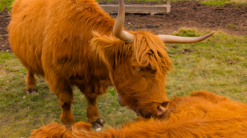 250917_dolorama_112818