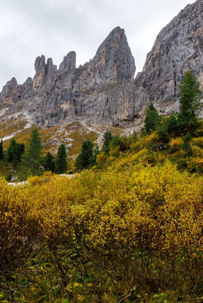 250917_dolorama_114506