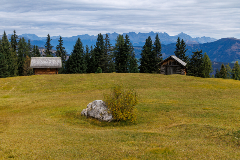 250917_dolorama_122522