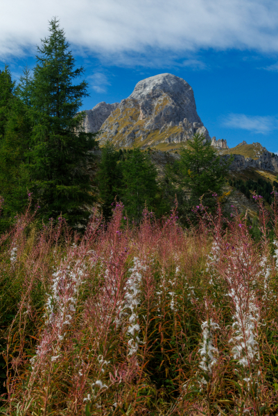 250917_dolorama_124807