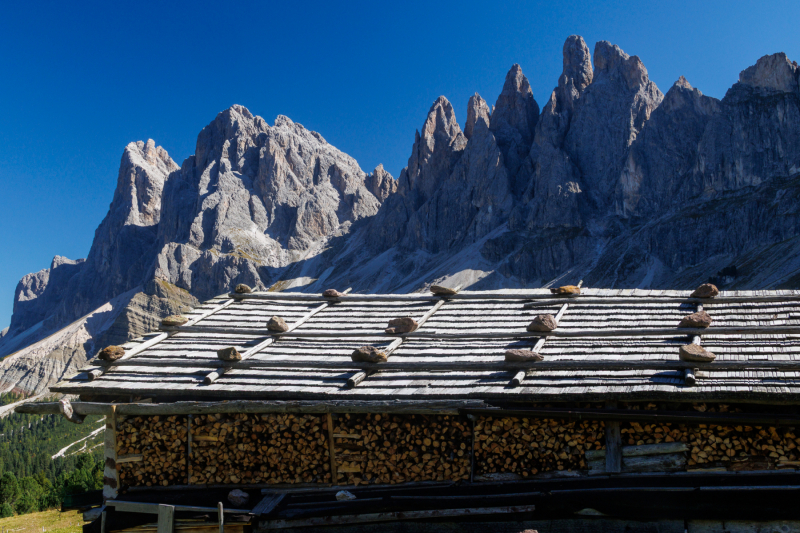 250918_dolorama_134612