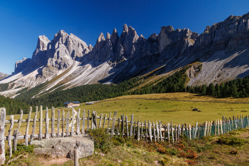 250918_dolorama_145800