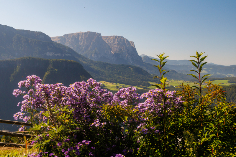 250919_dolorama_110442