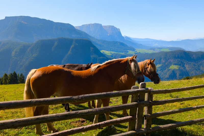 250919_dolorama_110511