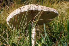 250915_dolorama_164824