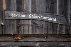 250916_dolorama_104610