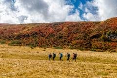 250916_dolorama_112410