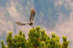 250916_dolorama_153117-9