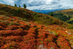 250916_dolorama_160126