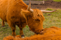 250917_dolorama_112818