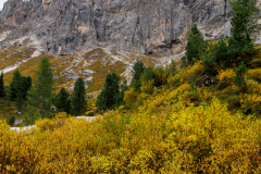 250917_dolorama_114506