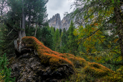 250917_dolorama_115528