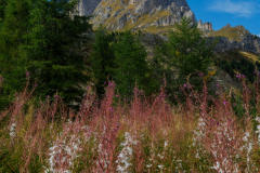 250917_dolorama_124807