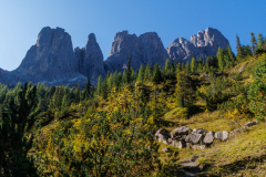 250918_dolorama_095618