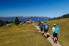 250918_dolorama_112409