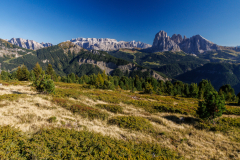 250918_dolorama_163838