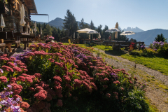 250919_dolorama_102937