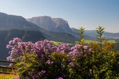 250919_dolorama_110442