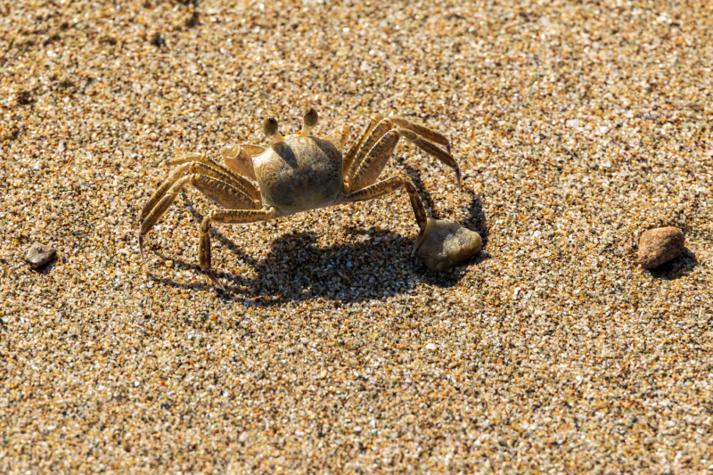 220110_oman_103545