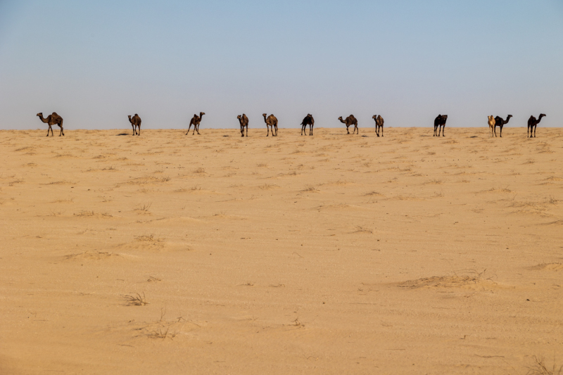 220115_oman_101423