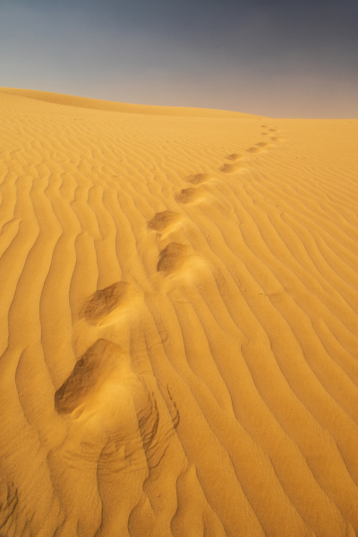 220115_oman_115918