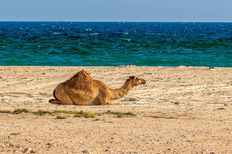 220117_oman_154615