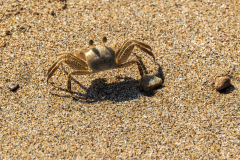 220110_oman_103545