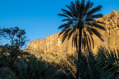 220112_oman_162447