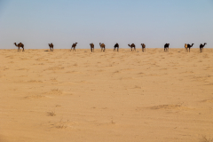 220115_oman_101423