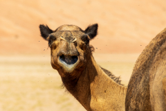 220116_oman_120518