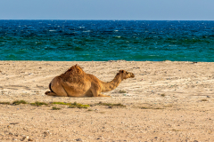 220117_oman_154615