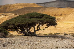 220118_oman_090723