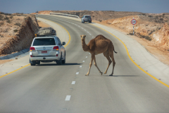 220118_oman_112945