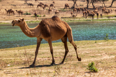 220119_oman_121202