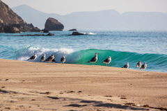 220120_oman_083046