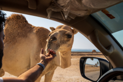 220120_oman_101559