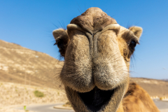 220120_oman_104922